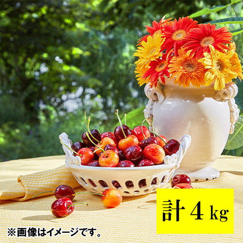 ＜オービル農園＞GEEWHIZ特選レイニア＆特選ダークチェリー（超大粒）各2kg【受注締め切り日：2026/7/1】