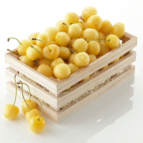 ＜山形県産＞幸せを呼ぶ黄色いさくらんぼ　元祖天香園「月山錦（R）」（バラ詰）500g【受注締め切り日：2026/6/28】