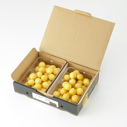 ＜山形県産＞幸せを呼ぶ黄色いさくらんぼ　元祖天香園「月山錦（R）」（バラ詰）500g【受注締め切り日：2026/6/28】