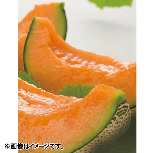 ＜北海道産＞訳ありメロン計8.0kg 4～7玉【受注締め切り日：2026/9/15】
