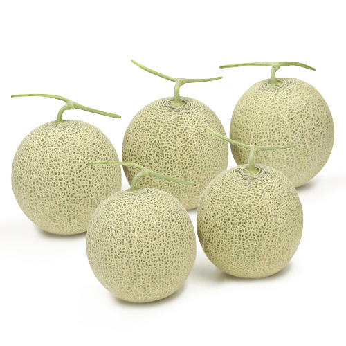 ＜北海道産＞訳ありメロン計8.0kg 4～7玉【受注締め切り日：2026/9/15】