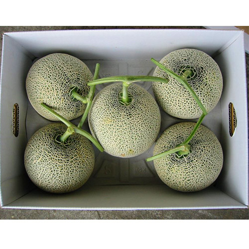 ＜北海道産＞訳ありメロン計8.0kg 4～7玉【受注締め切り日：2026/9/15】