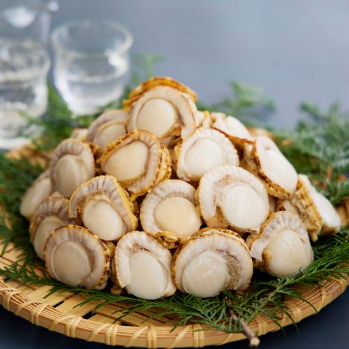 【大容量】＜北海道・長万部産＞ふっくらほたて1kg