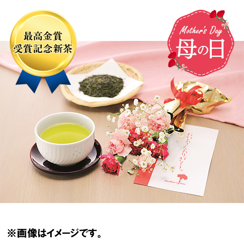 【母の日】最高金賞受賞記念新茶と生花カーネーションセット【受注締め切り日：2026/4/29】
