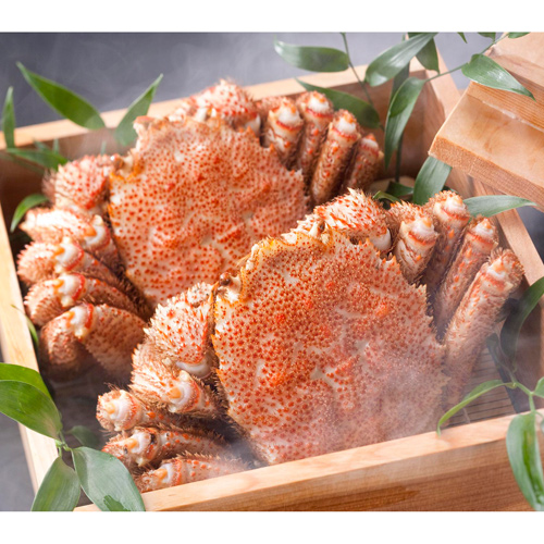 ＜北海道＞蒸し毛がに（2尾）1．0kg