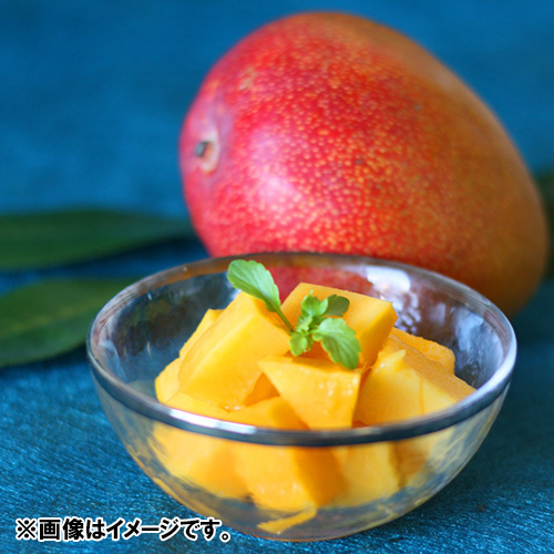 【送料込】＜宮崎県産＞ベジターレ限定完熟マンゴー2玉【受注締め切り日：2026/7/5】