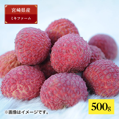 ＜ミキファーム＞無選別宮崎県産生ライチ（バラ詰め500g）【受注締め切り日：2026/7/10】
