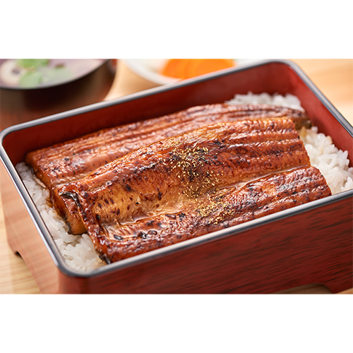 ＜鹿児島県産＞うなぎ職人大新 うなぎ蒲焼2尾