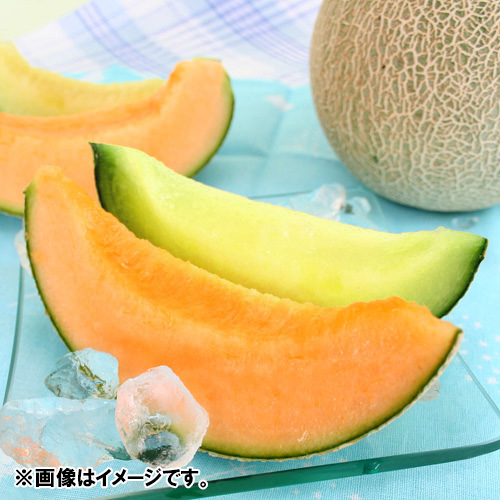 生産者限定 エコファーマー 山形県産庄内メロン2玉（赤肉・青肉メロン）【受注締め切り日：2026/7/24】