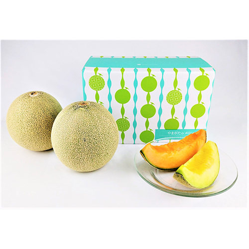 生産者限定 エコファーマー 山形県産庄内メロン2玉（赤肉・青肉メロン）【受注締め切り日：2026/7/24】