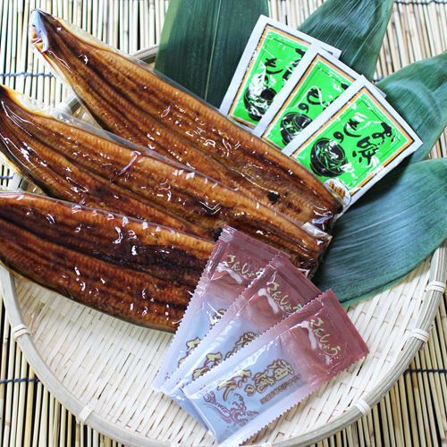 ＜謹製 浜名湖＞うなぎ蒲焼（長焼3人前）