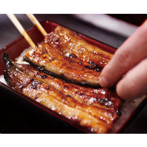 ＜謹製 浜名湖＞うなぎ蒲焼（長焼3人前）