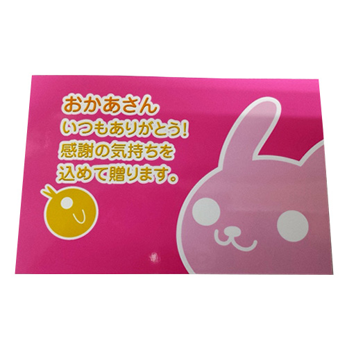 【母の日】＜パティスリー グレゴリー・コレ＞ドゥミセックアソート 母の日カード付き　※送料込【受注締め切り日：2026/5/1】