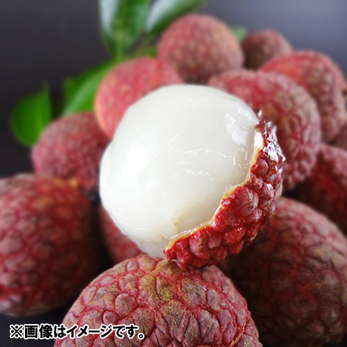 ＜ミキファーム＞無選別宮崎県産生ライチ（バラ詰め1kg）【受注締め切り日：2026/7/10】