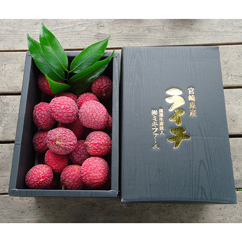 ＜ミキファーム＞無選別宮崎県産生ライチ（バラ詰め1kg）【受注締め切り日：2026/7/10】