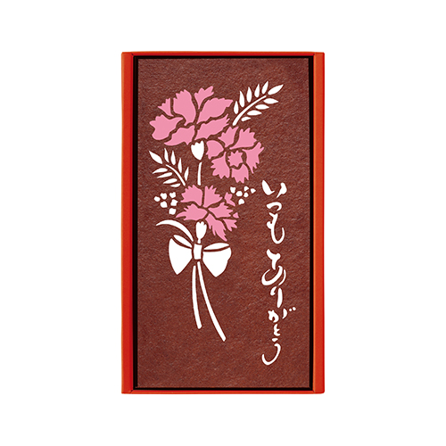 【母の日】カーネーション鉢＆長崎堂の母の日カステーラ　※送料込【受注締め切り日：2026/4/29】