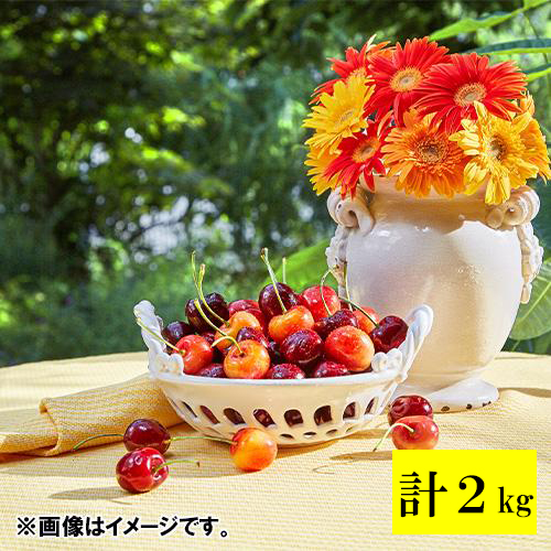 ＜オービル農園＞GEEWHIZ特選レイニア＆特選ダークチェリー（超大粒） 各1kg【受注締め切り日：2026/7/1】