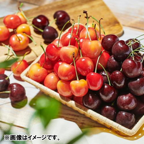 ＜オービル農園＞GEEWHIZ特選レイニア＆特選ダークチェリー（超大粒） 各1kg【受注締め切り日：2026/7/1】