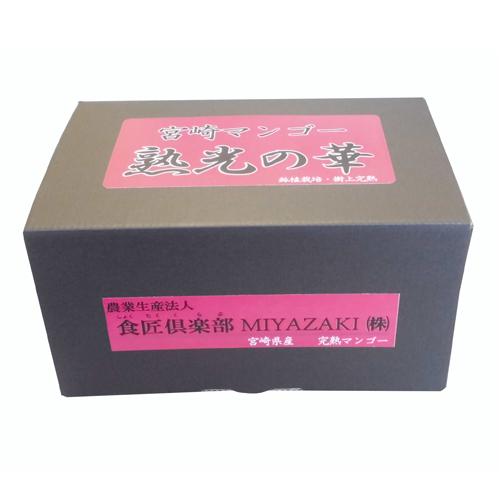 【送料込】＜食匠倶楽部＞MIYAZAKI 宮崎マンゴー熟光の華（2L×2玉）【受注締め切り日：2026/7/21】
