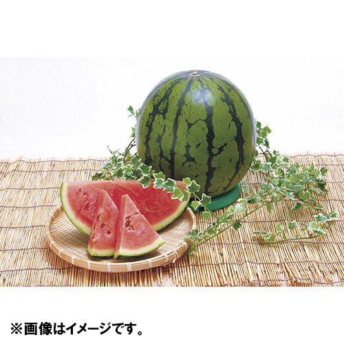 ＜山形県産＞尾花沢すいか1玉(6kg)【受注締め切り日：2026/7/20】