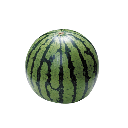 ＜山形県産＞尾花沢すいか1玉(6kg)【受注締め切り日：2026/7/20】