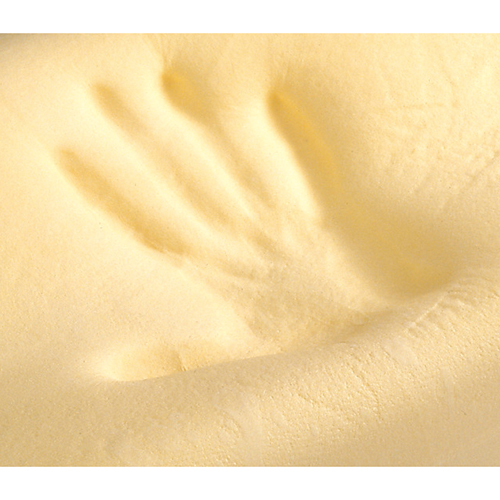 ＜テンピュール＞ランバーサポート