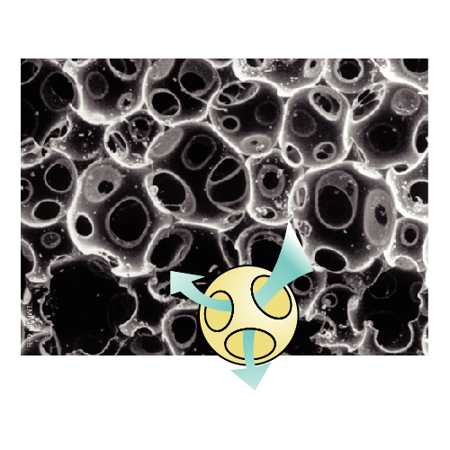 ＜テンピュール＞ランバーサポート