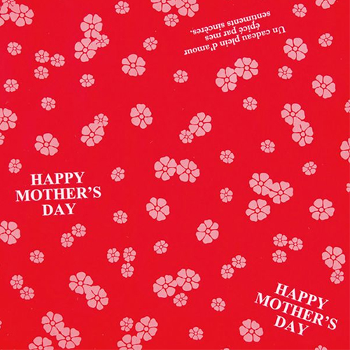 【母の日】ANA’sフレッシュセレクション『優コース』全30品　※送料込【受注締め切り日：2026/5/4】