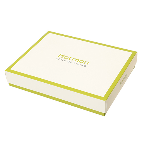 ＜ホットマン＞ANAショッピングオリジナル飛行機刺繍入り　タオルセット（ハンドタオル２枚）