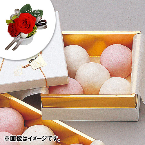 【母の日】ミニプリザ＆＜ボン・リブラン＞千代重　※送料込【受注締め切り日：2026/5/1】