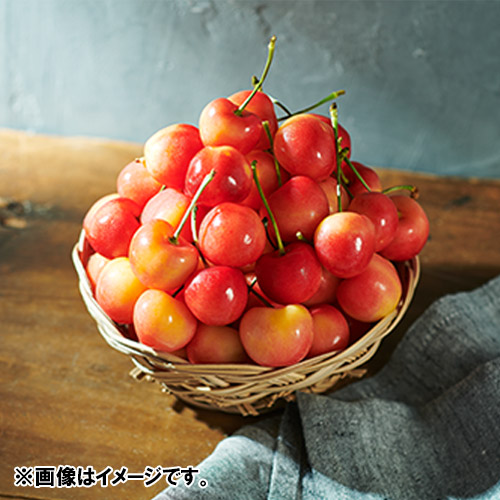 ＜ワシントン州産＞大粒アメリカンチェリー（レーニア種）3kg【受注締め切り日：2026/5/31】