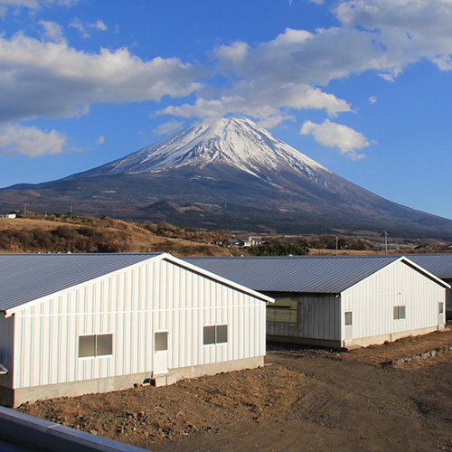 ＜山中湖ハム＞熟成ボンレスハム