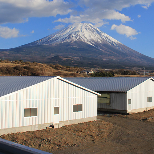＜山中湖ハム＞富士ヶ嶺豚とろけるローストポーク
