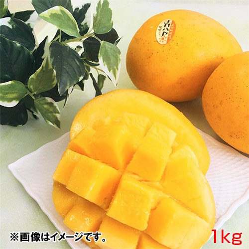 【送料込】＜沖縄県産＞金蜜マンゴー優品1kg【受注締め切り日：2026/7/31】