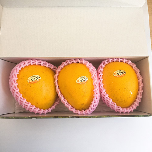 【送料込】＜沖縄県産＞金蜜マンゴー優品1kg【受注締め切り日：2026/7/31】