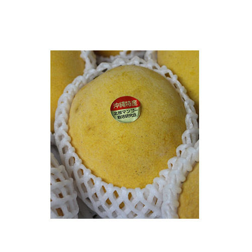 【送料込】＜沖縄県産＞金蜜マンゴー優品1kg【受注締め切り日：2026/7/31】