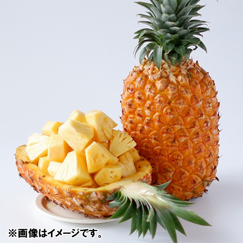 ＜沖縄県産＞ゴールドバレルパイン　2個【受注締め切り日：2026/7/16】