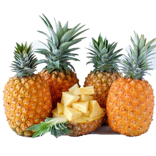 ＜沖縄県産＞ゴールドバレルパイン　2個【受注締め切り日：2026/7/16】