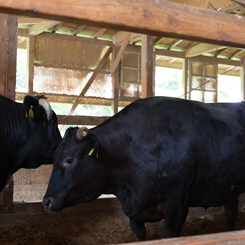 【岩手県】八幡平牛ロースステーキ150g×2