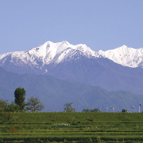 ＜福耳＞純米吟醸　微発泡酒　淡にごり3本セット