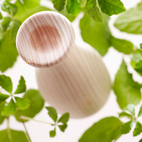 ＜ANAオリジナル＞ANAオリジナル アロマオイル 10mL＆ウッドディフューザーヒノコセット