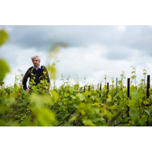 ＜ジャン・ルイ・ヴェルニョン＞コンベルサシオン　ブリュット　グラン・クリュ【NV】（白シャンパン）