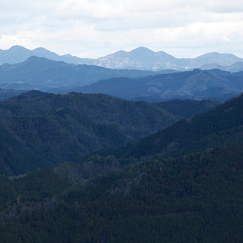 紅白めでたにゅうめん 6食