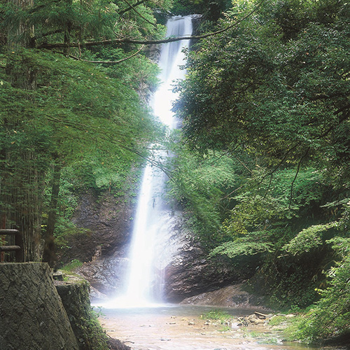 紅白めでたにゅうめん 6食