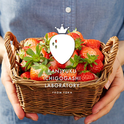 【完熟いちご菓子研究所】完熟いちごミルクプリン