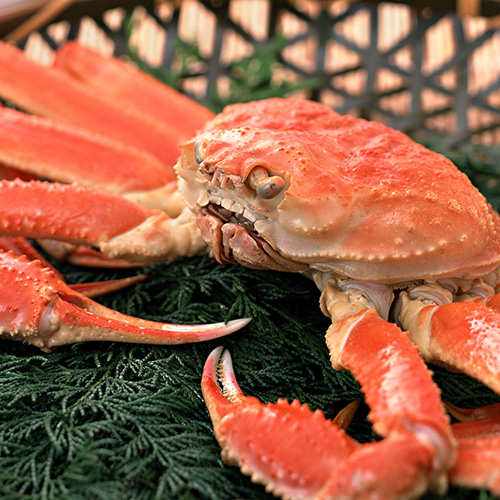 ずわいがに毛がに食べ比べ