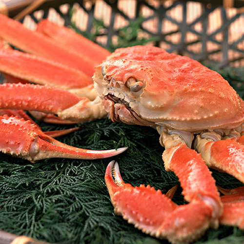 ずわいがに毛がに食べ比べ