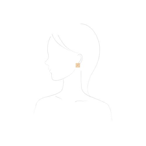 ＜HASUNA＞Magnet ピアス ゴールド