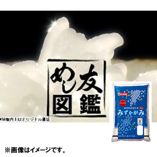 ＜滋賀県産＞みずかがみ 5kg