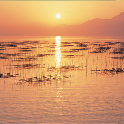 ＡＮＡオリジナル番組　めし友図鑑推薦！！　＜浦島海苔＞有明海産　焼海苔